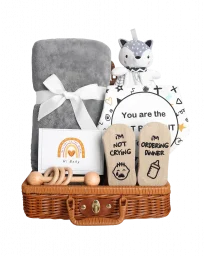 bubstyle-Little-Adventure-Newborn-Basket-01